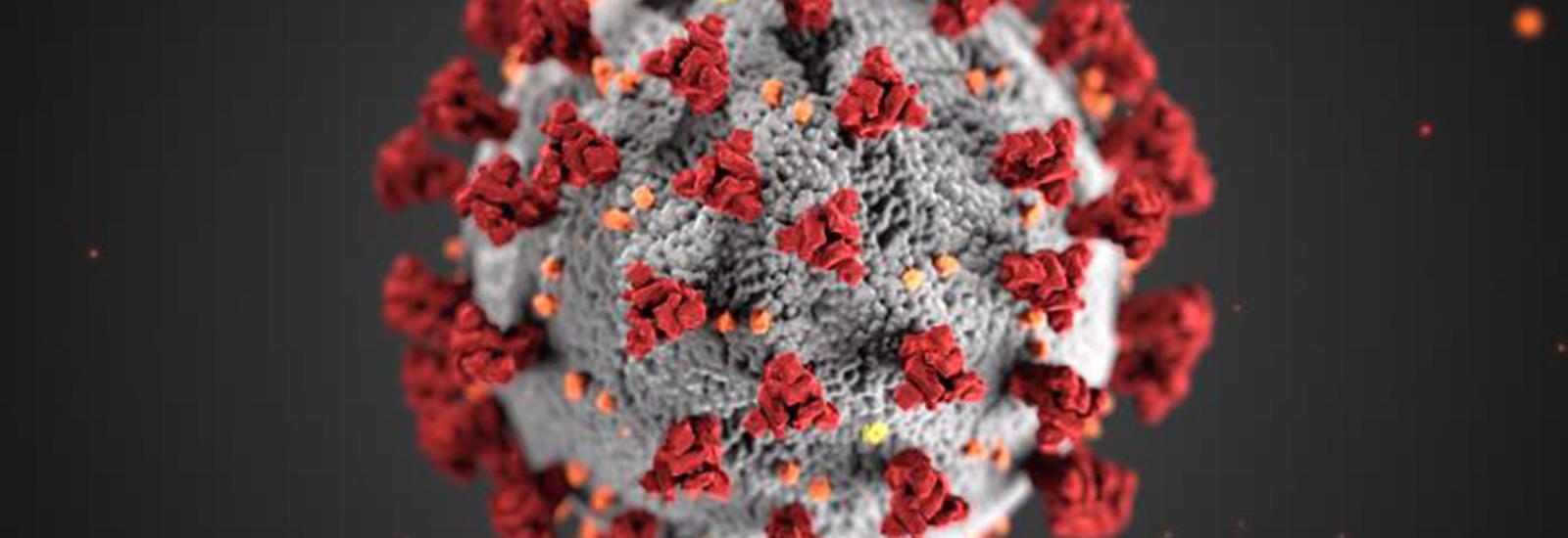 Model image of Corona Virus