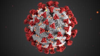 COVID-19 Virus 