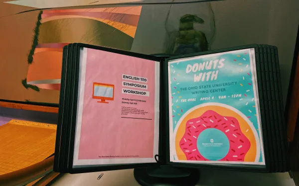 CSTW Flyers Describing Past Events